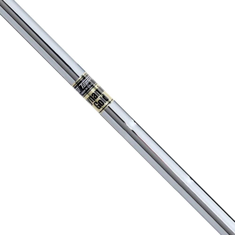 True Temper Dynamic Gold Iron Shaft *Demo Rental*